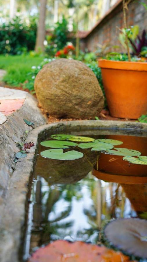 Dr Nisha'S Vedic Remedies Thiruvananthapuram Esterno foto